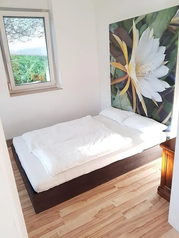 House With 3 Apartments In Nurnberg City Germany