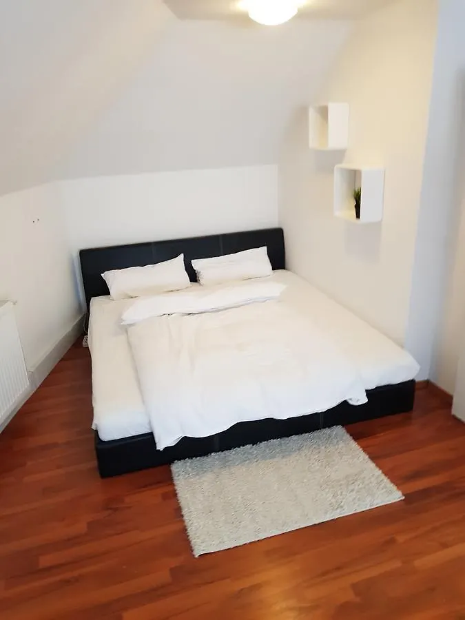 House With 3 Apartments In Nurnberg City