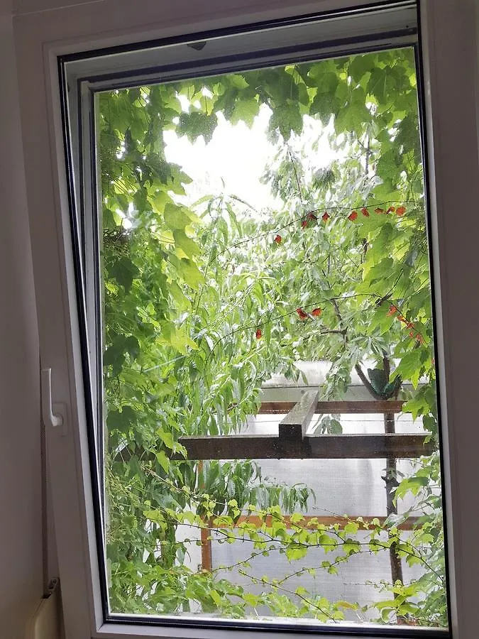 House With 3 Apartments In Nurnberg City