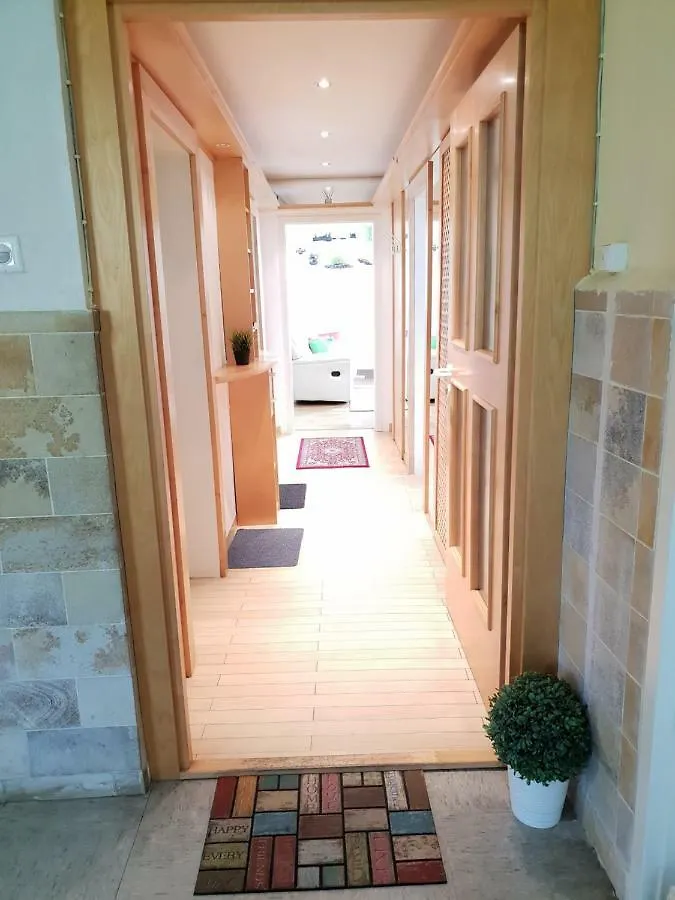 House With 3 Apartments In Nurnberg City